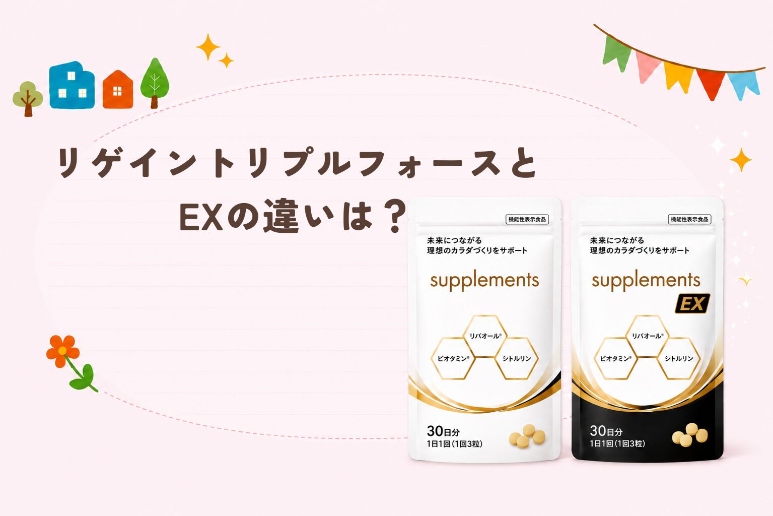 活動歴および当時の関連ビジュアル記録